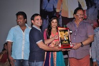 Chandi Platinum Disc Function